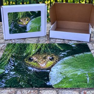 100 Piece Frog Jigsaw Puzzle