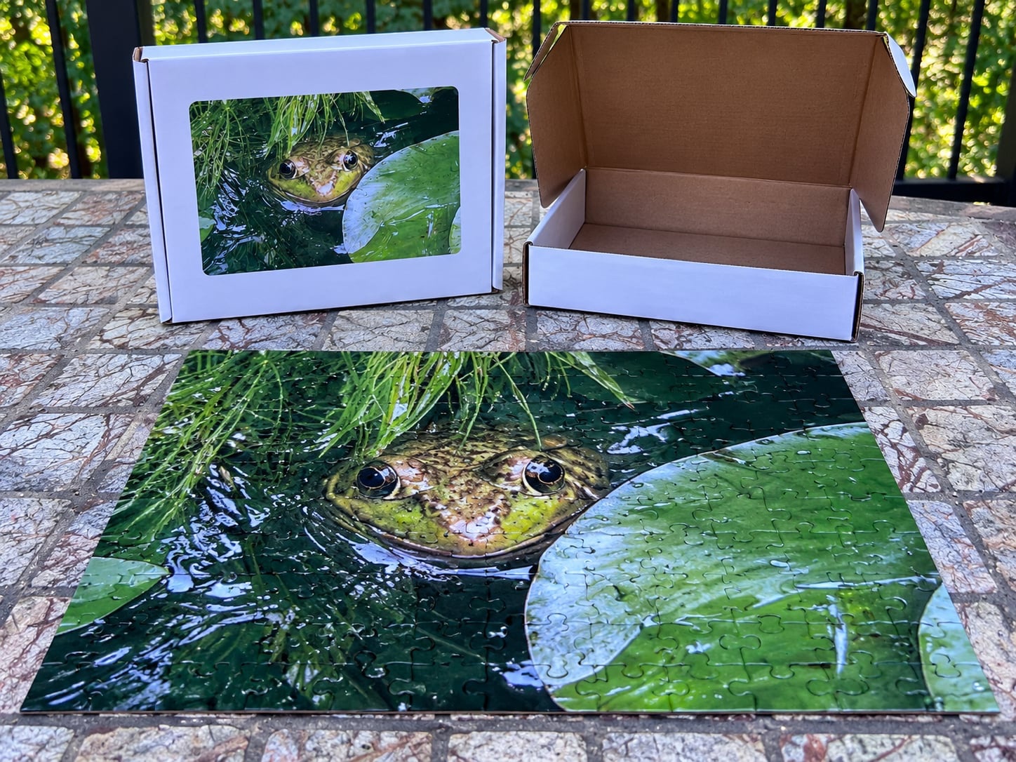 100 Piece Frog Jigsaw Puzzle
