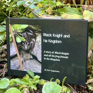 Black Knight and his Kingdom